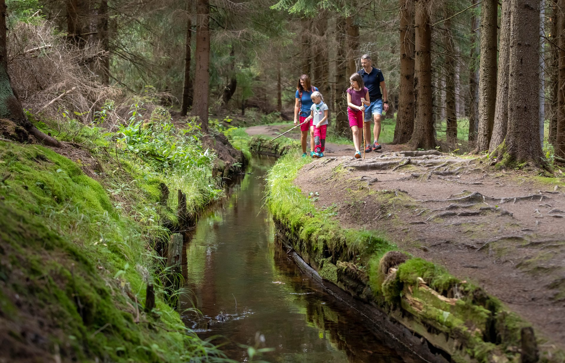 Familie am Grünen Graben. Links befindet sich ein Hang der mit Wiese bestückt ist. In der Mitte fließt ein Fluss. Und rechts im Hintergrund befindet sich eine Familie (2 Kinder und 2 Erwachsene) die gerade den Weg entlang laufen.
