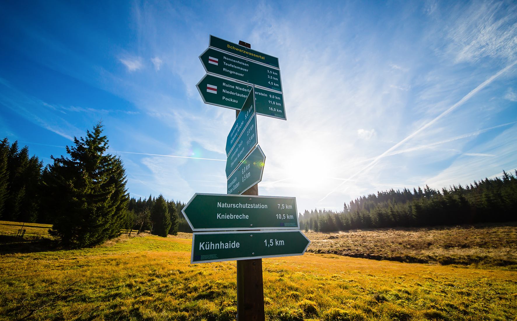Hinweisschild Wanderwege. Im Vordergrund befindet sich ein Wegweiser für die Wanderwege. Und im Hintergrund davon befindet sich eine gelbe Wiese.